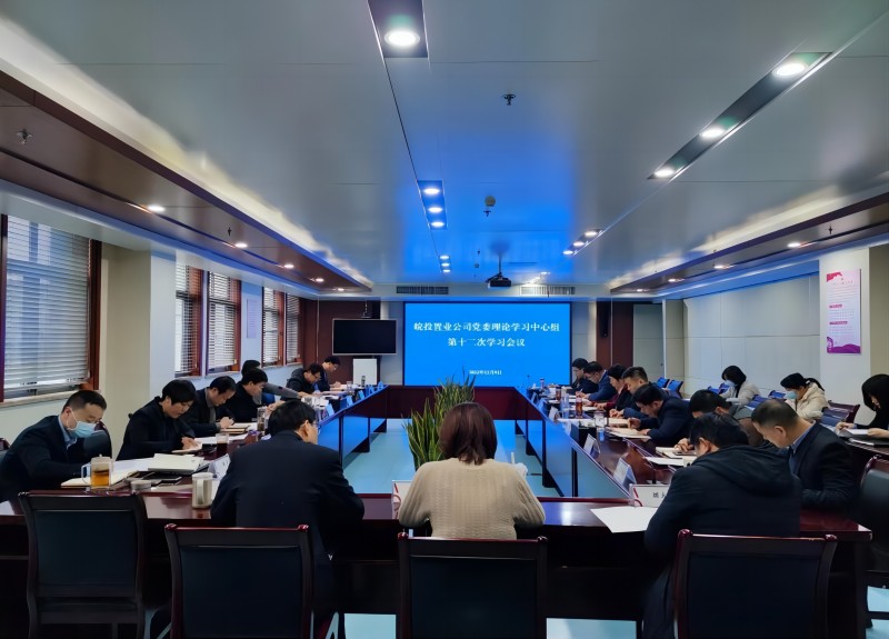 皖投置业公司召开党委理论学习中心组2022年第十二次学习会议